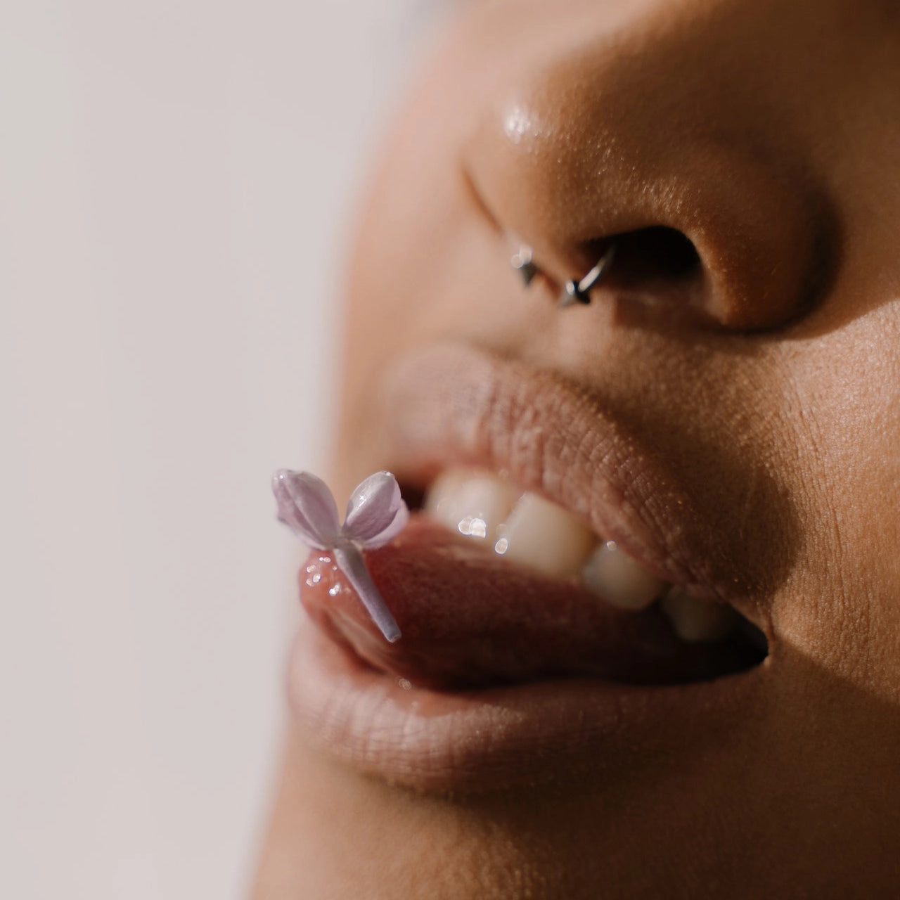 The Piercing Dictionary: Nose Piercings