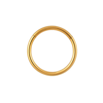 Nose ring hoop 6mm 8mm 10 mm simple and minimalist hinged segment clicker Rosery Poetry